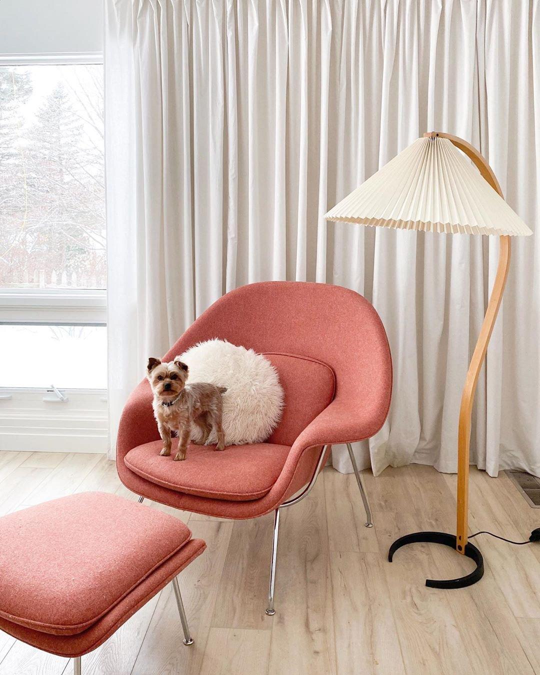 Caprani Bentwood Floor Lamp