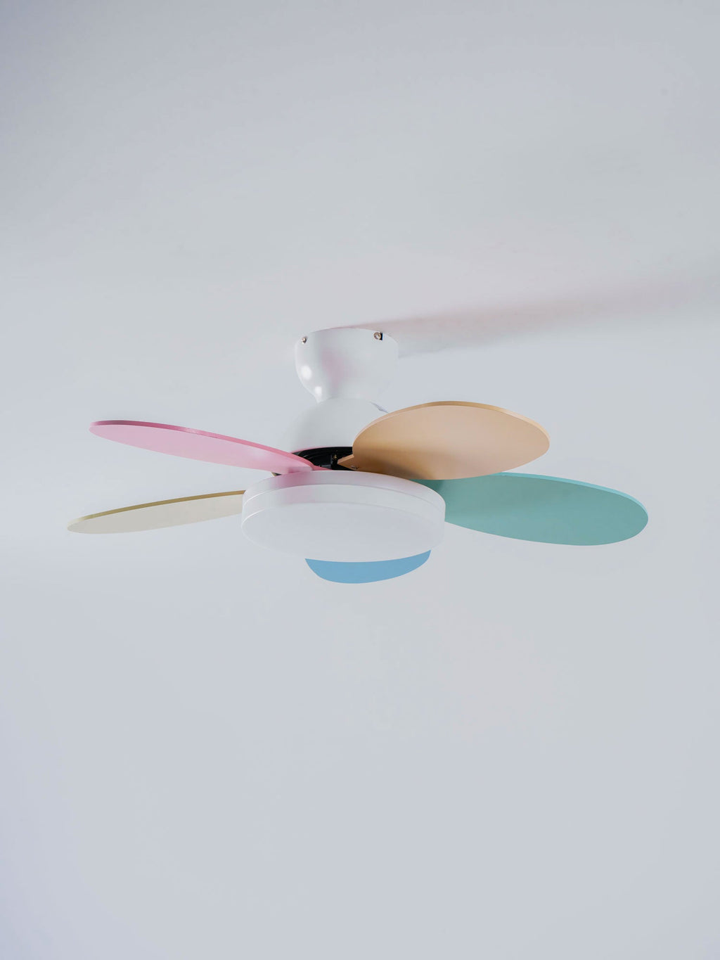 Petalo Ceiling Fan with Light