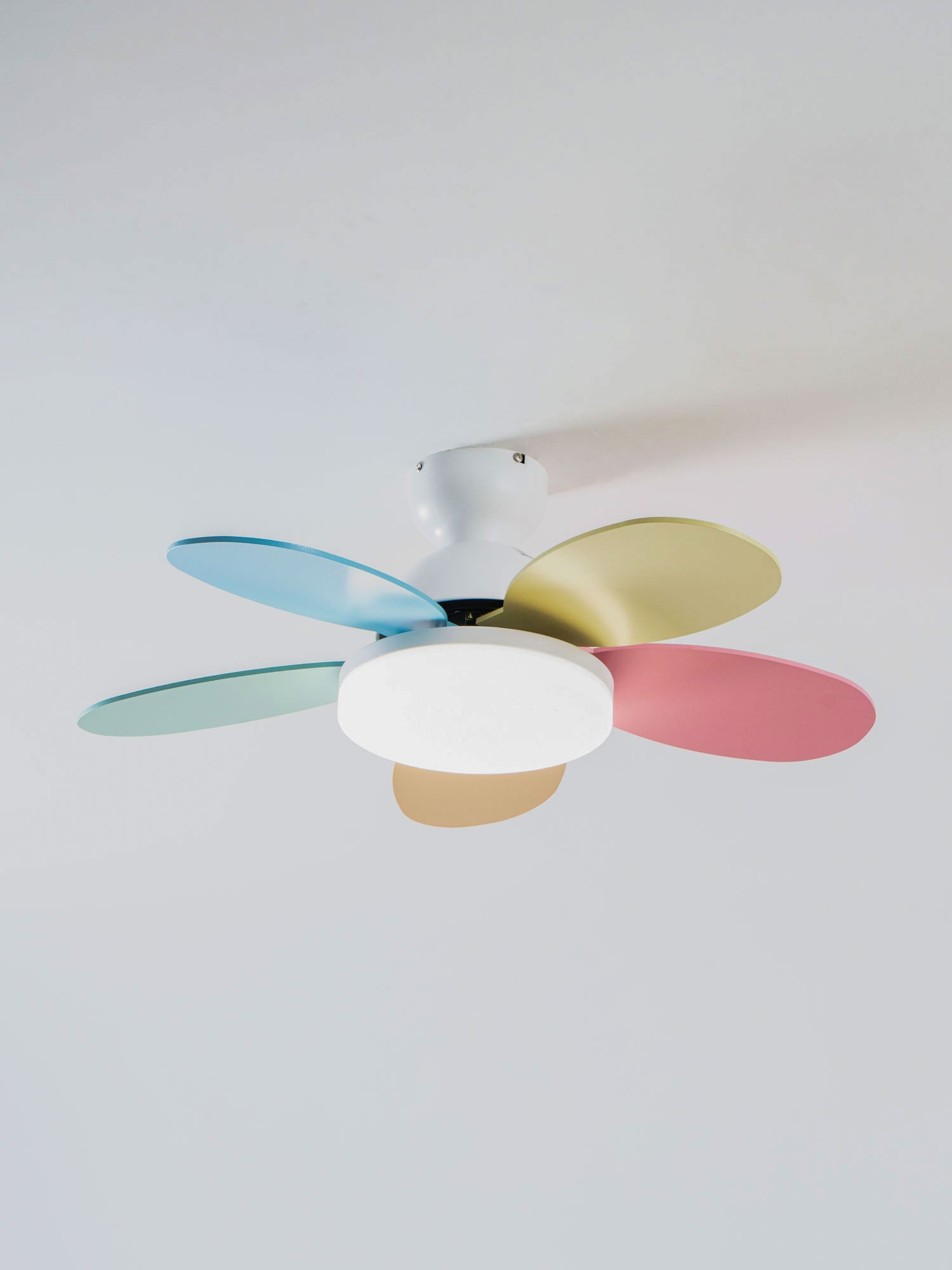 Petalo Ceiling Fan with Light