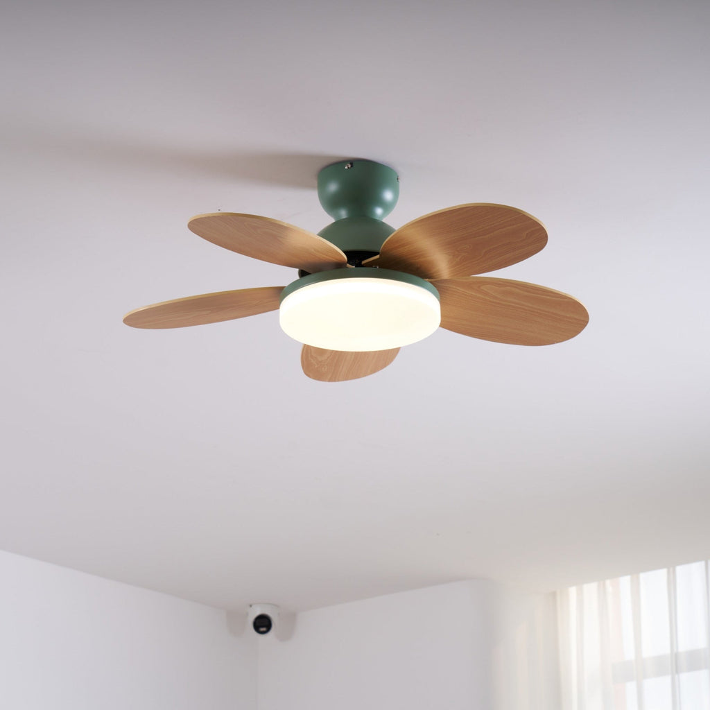 Petalo Ceiling Fan with Light