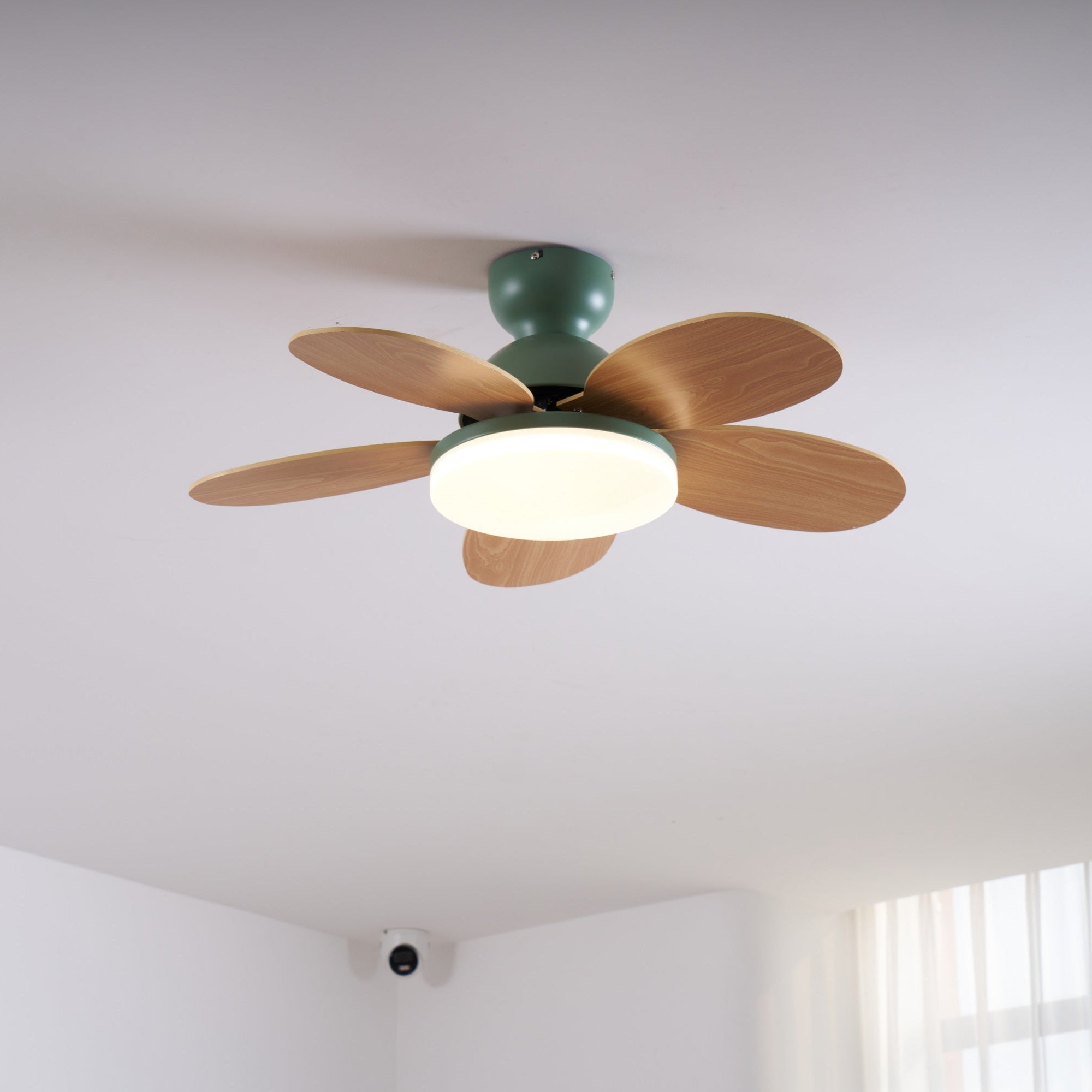 Petalo Ceiling Fan with Light