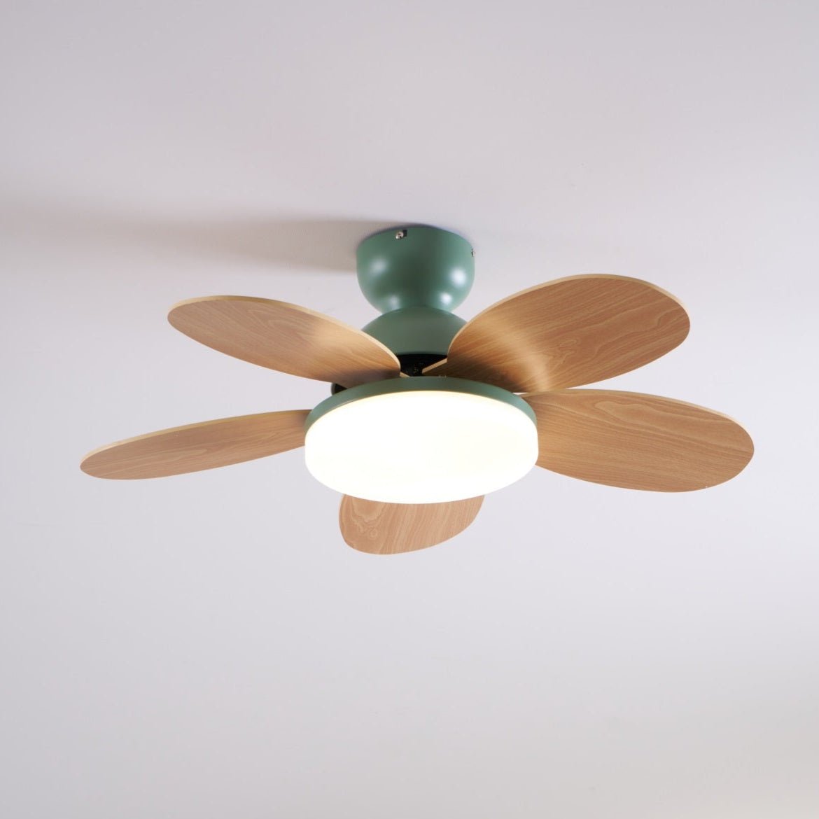 Petalo Ceiling Fan with Light