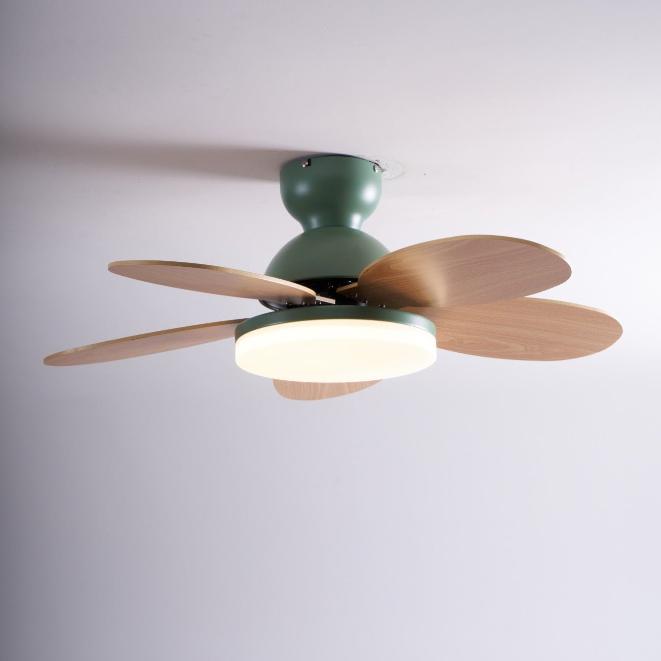 Petalo Ceiling Fan with Light