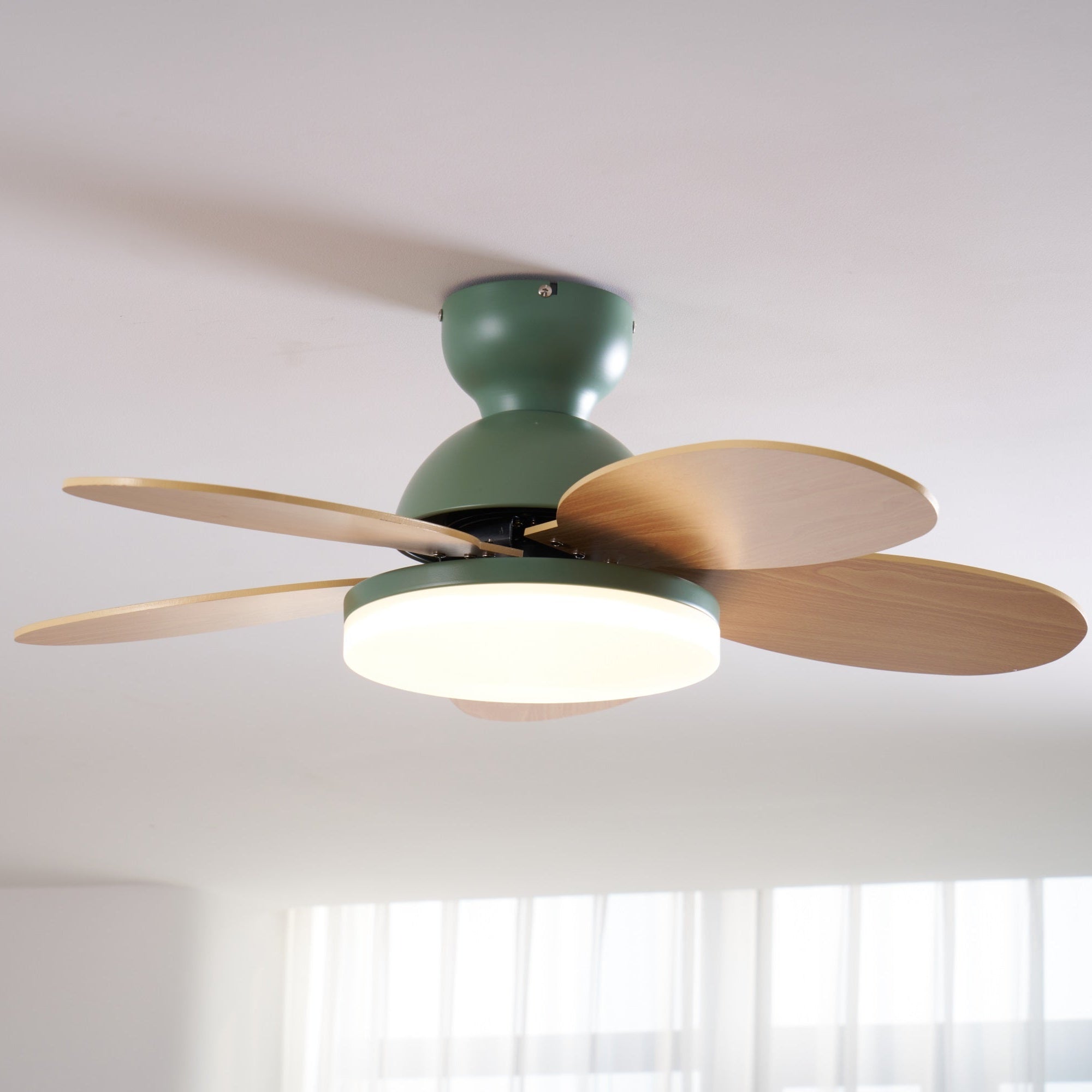 Petalo Ceiling Fan with Light