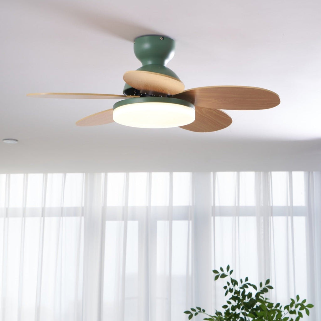 Petalo Ceiling Fan with Light