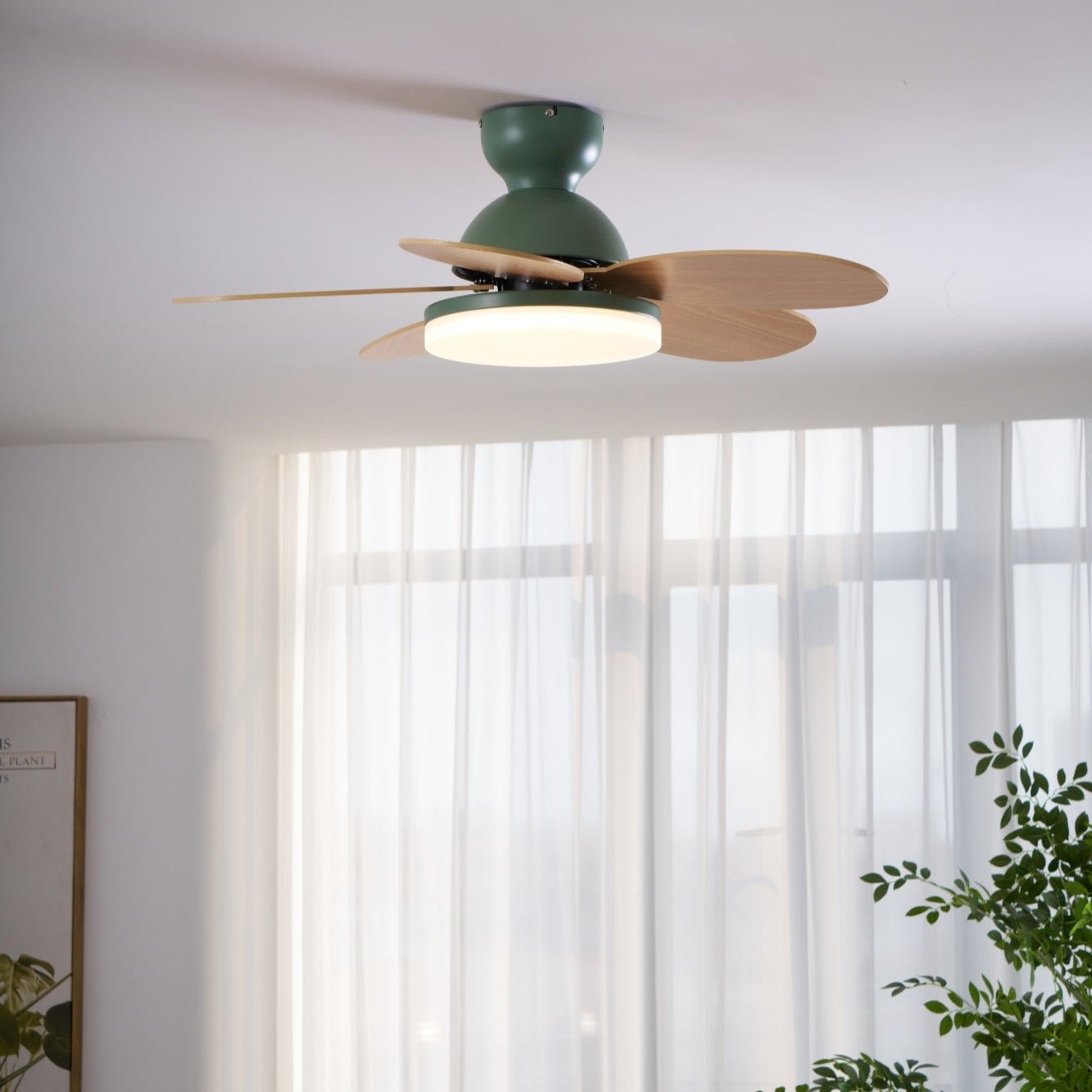 Petalo Ceiling Fan with Light