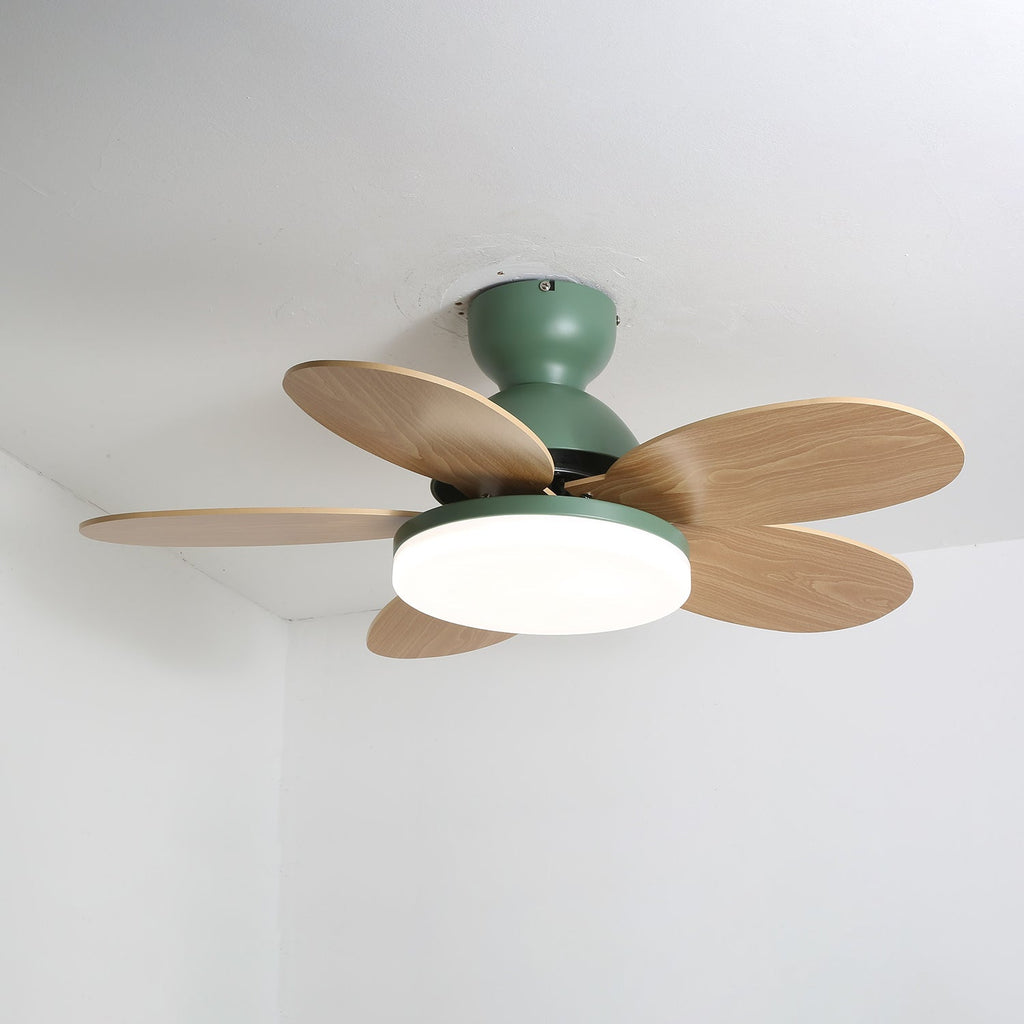 Petalo Ceiling Fan with Light