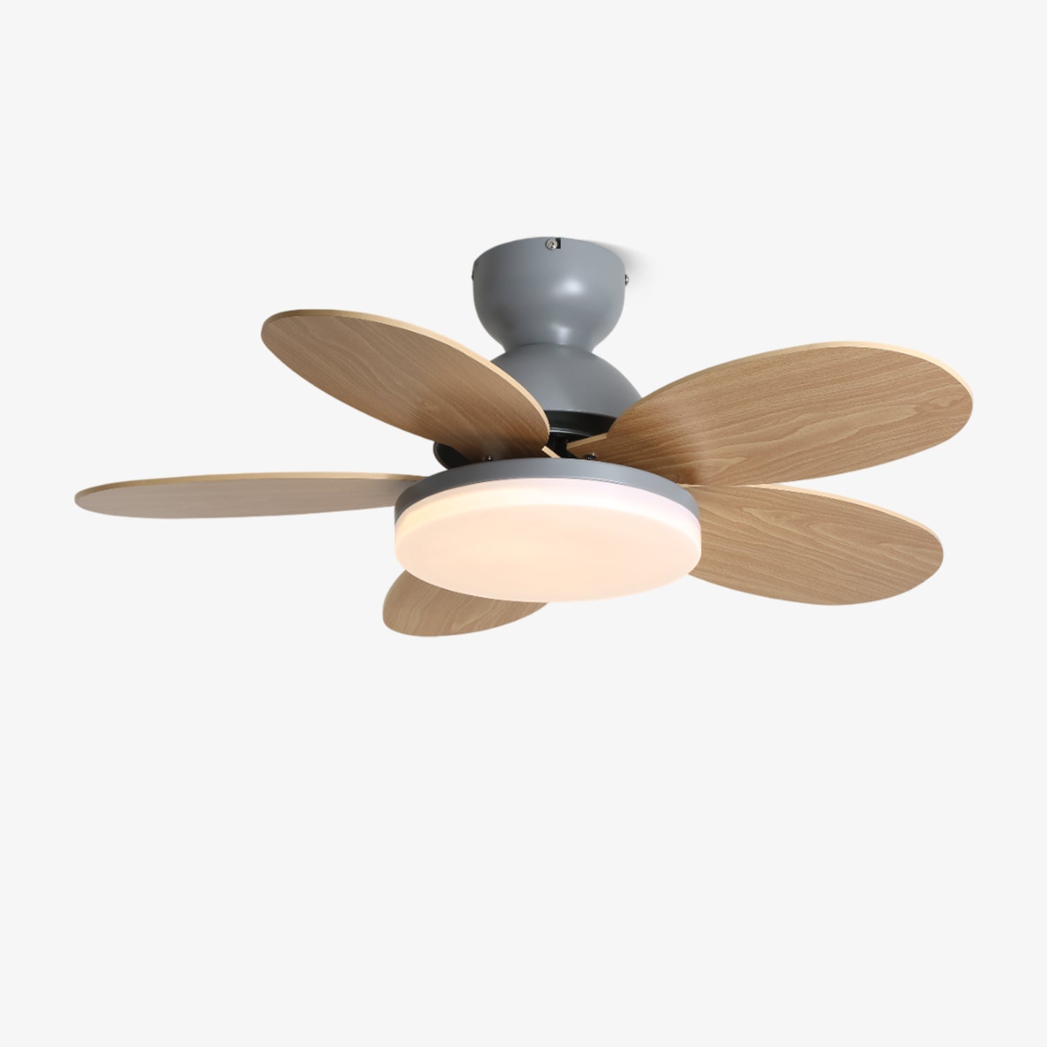 Petalo Ceiling Fan with Light