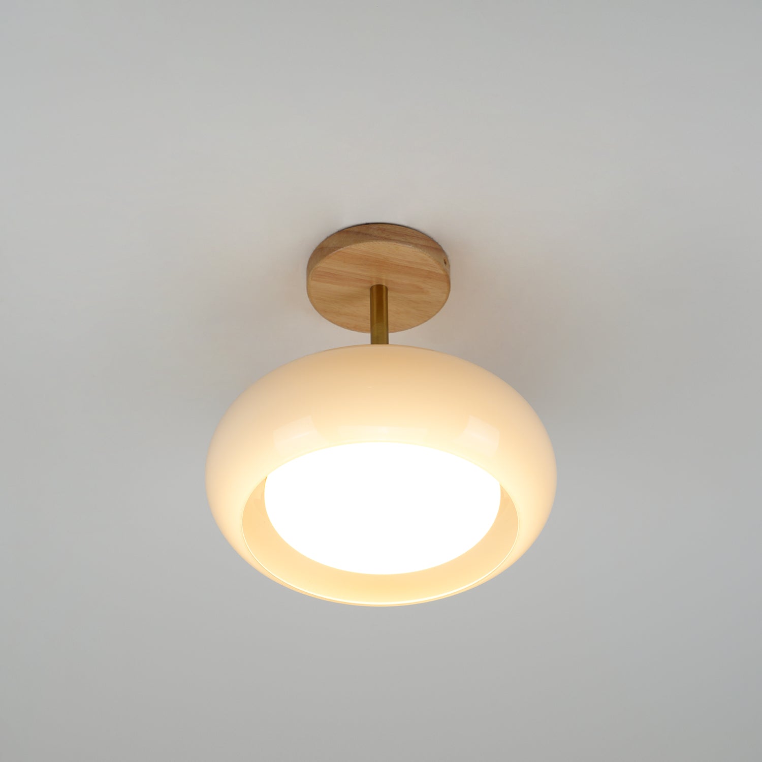Plafonnier Flush Ceiling Light