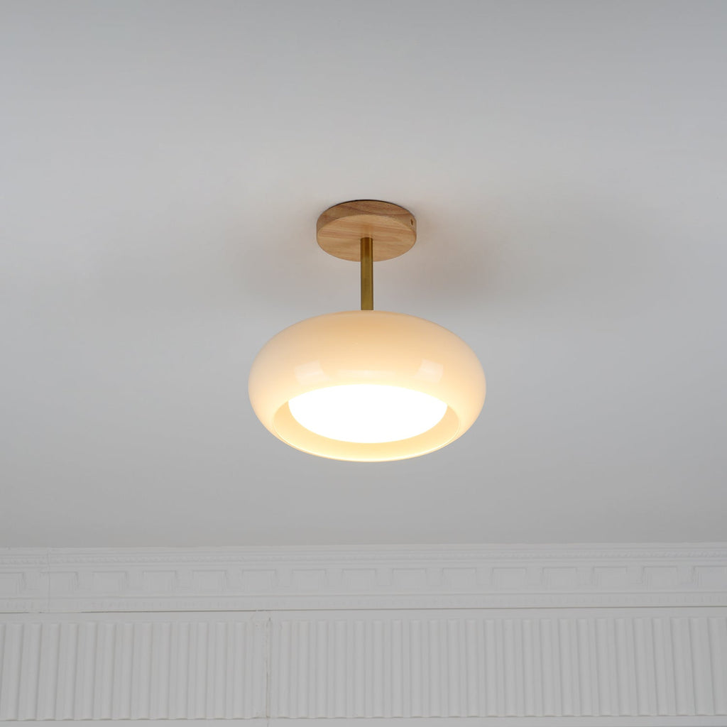Plafonnier Flush Ceiling Light
