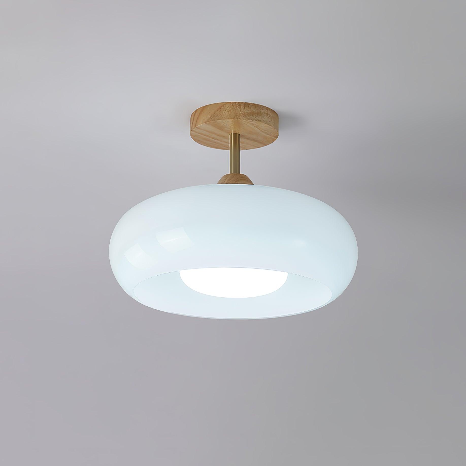 Plafonnier Flush Ceiling Light